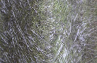 Burcombe fibreglass roof work